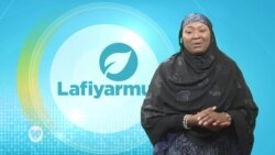 LAFIYARMU: Hira Da Dr Ibrahim, Kwararen Likitan A Najeriya