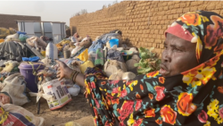 Mali Kura - Lakanabaliya min bɛ ka bonya Sahel mara la, o bɛ na ni kɔlɔlɔ juguw ye ani kɔlɔlɔ caman bɛ musow ni denmisɛnw na