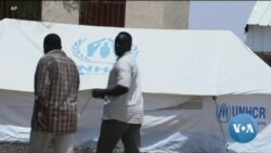 ፈነወ ድምጺ ኣመሪካ ቋንቋ ትግርኛ የካቲት 24,2022