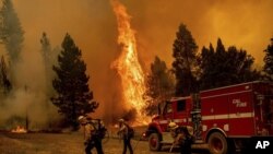 El incendio cerca de Jerseydale, condado de Mariposa, California, el 23 de julio de 2022. (Foto AP/Noah Berger)