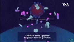 Covid-19: Como parar o "assassino"?