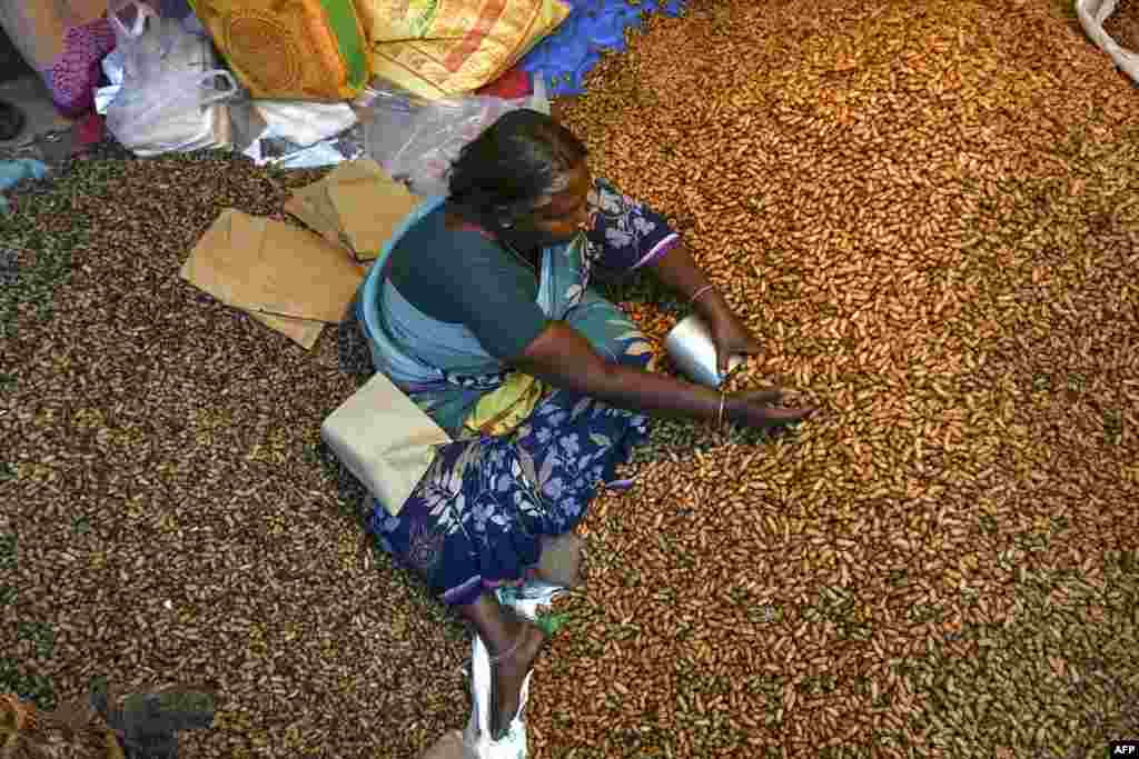 A street vendor sells peanuts during &#39;Kadalekai Parishe&#39;, the annual oldest known peanut fair in Bangalore, India, Nov. 25, 2019.