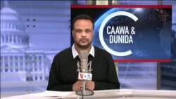 Caawa iyo Dunida