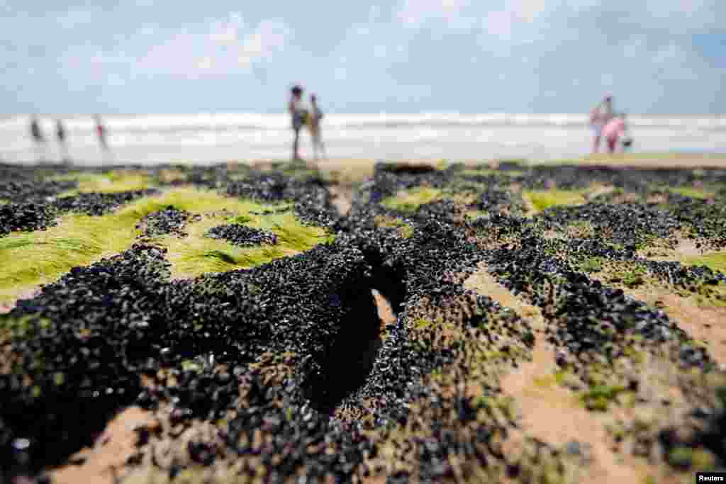 An oil spill is seen on 'Sitio do Conde' beach in Conde, Bahia state, Brazil, Oct. 12, 2019.