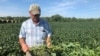 Farmers' Loyalty to Trump Tested Over New Corn-Ethanol Rules