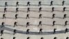 16x9 Image