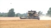 US Wheat Production Lowest in Recorded History