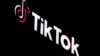 歐盟就羅馬尼亞總統選舉的保障措施調查TikTok