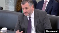 美國國會參議院商務、科學及運輸委員會主席泰德‧克魯茲(Ted Cruz)2月12日在該委員會聽證會上發言。