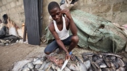 Pesca envenena relações Moçambique-Malawi