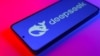 聿文視界：DeepSeek衝擊波：技術創新的“孤例”