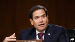 共和黨聯邦參議員魯比奧（Sen. Marco Rubio, R-FL)在參議院情報委員會聽證會發言。（資料圖片)）