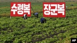 지난 9월 북한 황해북도 사리원의 미곡 협동농장. (자료사진)