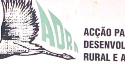 ADRA prepara monitores das eleições angolanas – 1:27