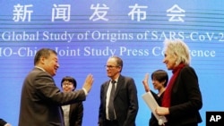 世衛專家組在武漢與中國專家聯合舉行的新聞發布會