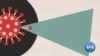 How COVID-19 Vaccines Being Tested Work 