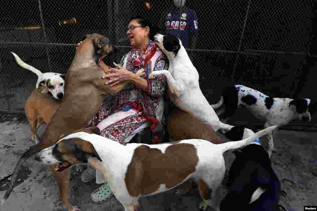 Animal rights activist Zeba Masood spends time with rescued dogs at the Lucky Animal Protection Shelter (LAPS), a nonprofit organization providing temporary shelter to astray and abandoned dogs in Peshawar, Pakistan, Oct. 9, 2019.