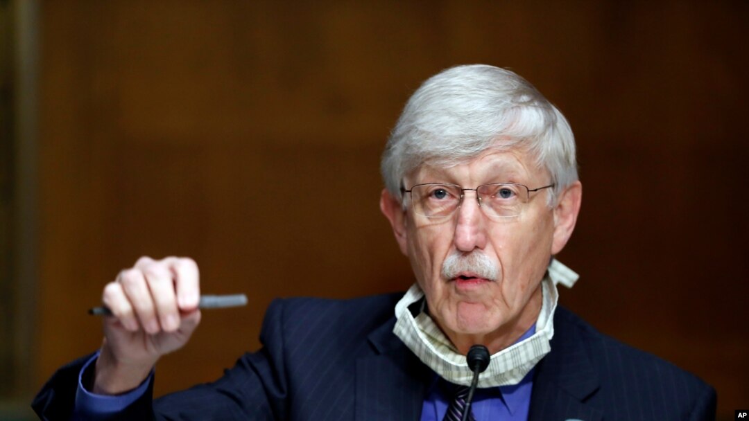 En esta foto del 7 de mayo de 2020 el Dr. Francis Collins, director de los Institutos Nacionales de Salud, NIH, habla durante una audiencia en el Senado de EE.UU.