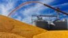 FILE - Central Illinois farmers deposit harvested corn on the ground outside a full grain elevator in Virginia, Ill., Sept. 23, 2015.