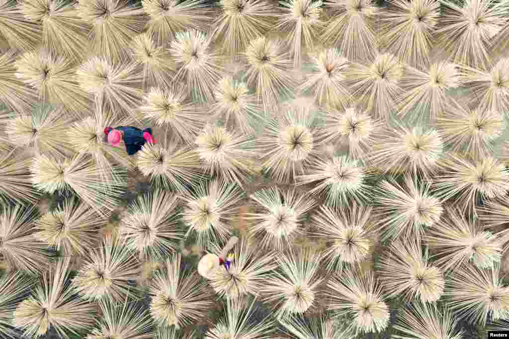 Villagers work on drying bamboo products in bunches for making chopsticks in Lijiang county, Jian, Jiangxi province, China.