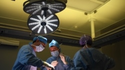 Especialistas globais debatem tratamento de cancro em Moçambique