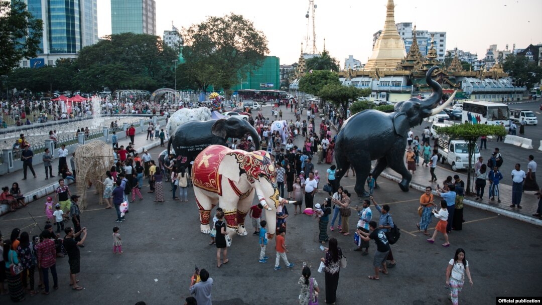ဂင်းနစ်စံချိန်ဝင် မြန်မာ့ ဆင်ရုပ် (WWF-Myanmar)