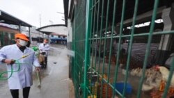 禽流感仍在蔓延 不排除人际传播