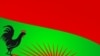 Bandeira do partido UNITA